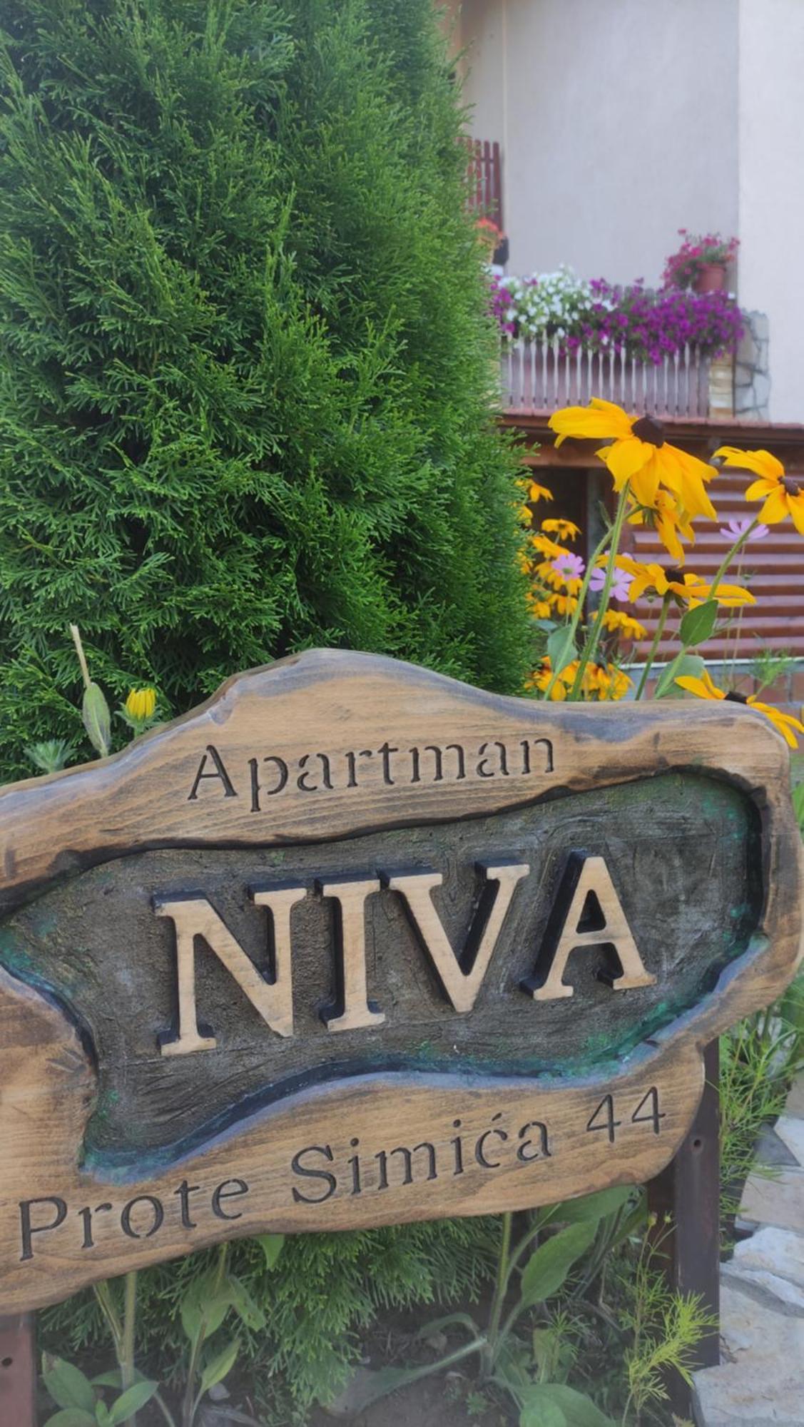 Apartment Niva Zlatibor Esterno foto